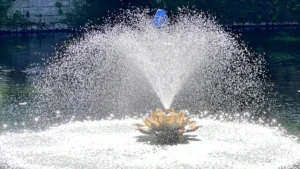 A decorative lotus-shaped fountain in a pond, spraying a fine mist of water into the air using a Stainless Steel Pump.