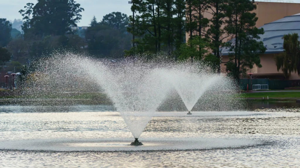 fountain pump selection
